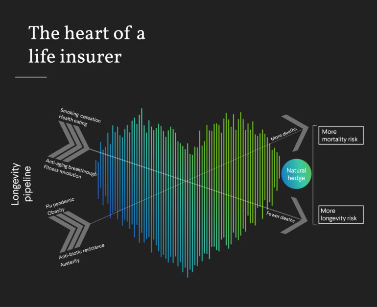 Heart of an Insurer infographic