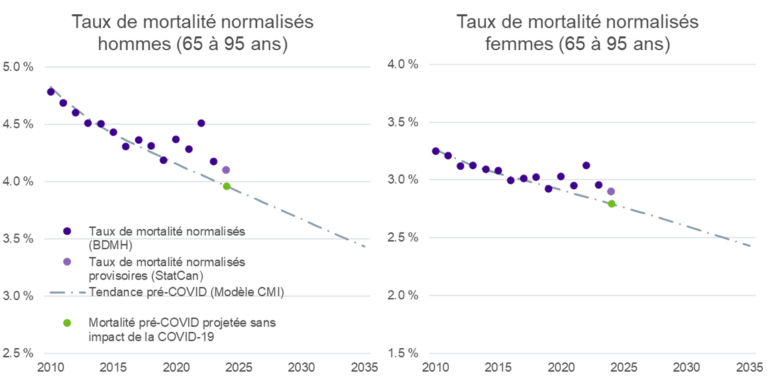 Graphiques de dispersion côte à côte intitulés « SMR masculins au Canada (âges de 65 à 95 ans) » et « SMR féminins au Canada (âges de 65 à 95 ans) ». Chaque graphique montre les taux de mortalité annuels d’environ 2010 à 2024, avec des points violets représentant le SMR observé (HMD) en baisse au fil du temps, une ligne de tendance descendante en pointillés avant la COVID, et un point vert indiquant le taux attendu pour 2023–2024 en l’absence de la COVID. Les taux masculins passent d’environ 4,8 % à près de 4,1 %, tandis que les taux féminins diminuent d’environ 3,3 % à près de 2,8 %, les deux suivant globalement une tendance baissière régulière.