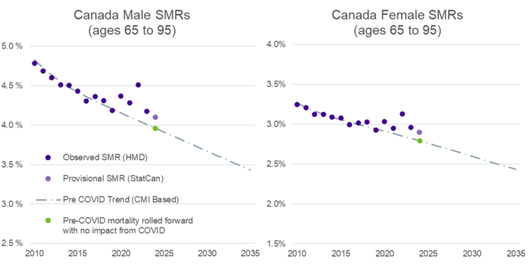 Side-by-side scatter plots titled “Canada Male SMRs (ages 65 to 95)” and “Canada Female SMRs (ages 65 to 95).” Each chart shows annual mortality rates from about 2010 to 2024 with Observed SMR (HMD) declining over time, a dashed downward pre‑COVID trend line, and a point marking the expected 2023–2024 rate without COVID. Male rates decrease from roughly 4.8% to about 4.1%, while female rates fall from about 3.3% to around 2.8%, both generally following a steady downward trend.