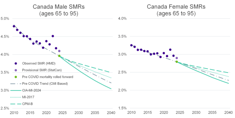 Two side-by-side line charts titled “Canada Male SMRs (ages 65 to 95)” and “Canada Female SMRs (ages 65 to 95)” show mortality rates from 2010 to 2040. For both males and females, observed SMRs decline gradually from about 4.7% to 4.1% for males and from about 3.2% to 2.9% for females by the early 2020s. Projected lines (including CIA-MI-2024, MI-2017, CPM-B, and a pre-COVID trend) all continue downward, with the CIA-MI-2024 projection showing the steepest decline. A point marks pre-COVID mortality rolled forward around 2023. Overall, the chart shows declining mortality rates over time for both sexes, with males consistently higher than females.