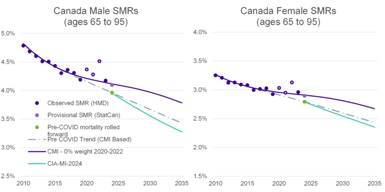 Two side-by-side charts titled “Canada Male SMRs (ages 65 to 95)” and “Canada Female SMRs (ages 65 to 95)” show mortality rates from 2010 to 2035. Observed SMR (HMD) generally decline over time but include elevated values around 2020–2022. A light purple dot marks provisional recent data, and a green dot shows pre-COVID mortality rolled forward near 2023. A dashed line indicates the pre-COVID downward trend. CMI – 0% weight 2020–2022 smooths the data while discounting pandemic years, resulting in a more gradual decline. CIA-MI-2024 projects a steeper drop in mortality going forward. Male rates start higher (around 4.8%) and fall toward about 3.7% by 2035, while female rates start lower (around 3.3%) and fall to about 2.7%. Both charts show consistent declines over time, with males higher than females throughout.